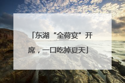 东湖“全荷宴”开席，一口吃掉夏天
